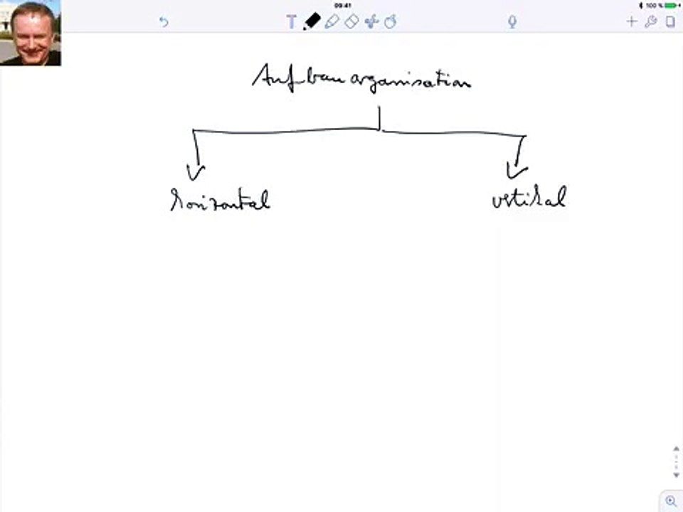 Aufbauorganisation, horizontal u vertikal