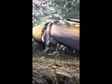 Footage of Whale Washed Up Off Irish Coast