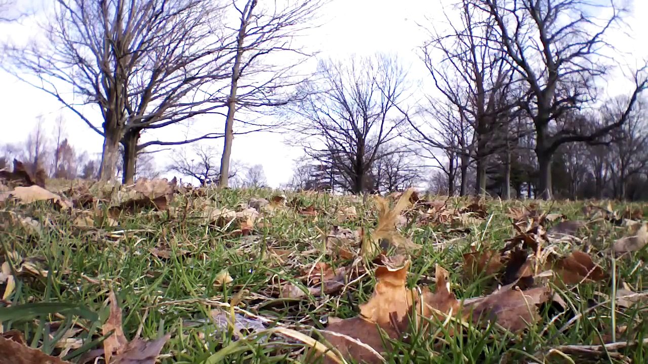 AR.Drone 2.0 Video: 2012/12/25