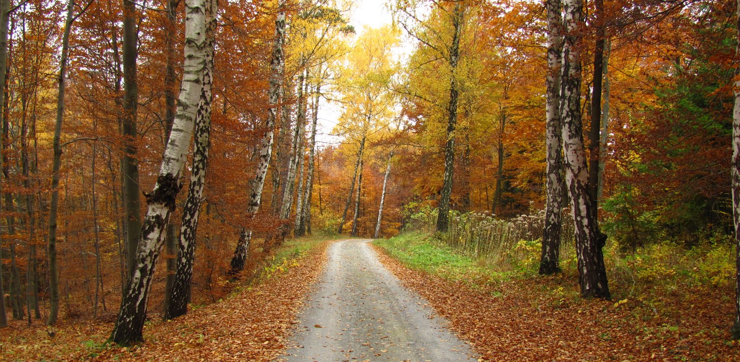 SIMA-čas ( Lyrcis by LyrcisReality )