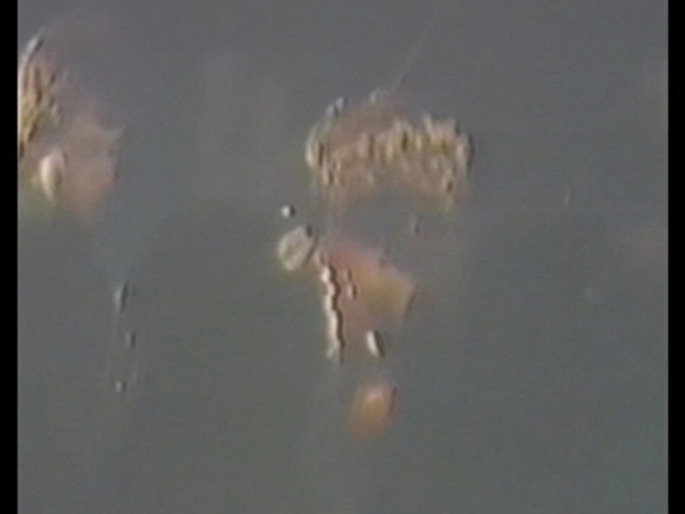 X-Ray Spex - Oh bondage, Up Yours!