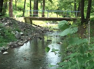 Oprezno sa vodom iz bunara, 13. jun 2016. (RTV Bor)