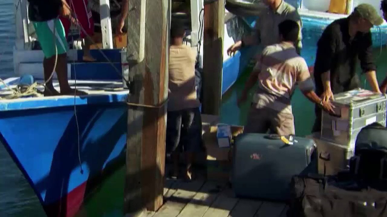 Big five asien - der komodowaran | e02/5 [doku]