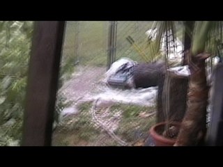 Electric Thunderstorm