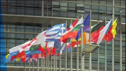 Brexit fear factor sends global stock markets into tailspin