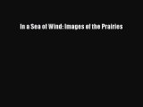 Read In a Sea of Wind: Images of the Prairies Ebook Free