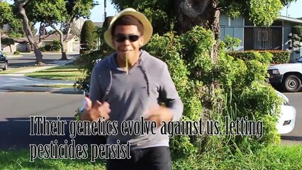 MACKLEMORE & RYAN LEWIS - DOWNTOWN (APES PARODY - GreenHouse)