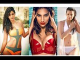 Bollywood Hottest Bikini Babes !