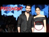 Shahid's Wife Mira Rajput Pregnant?