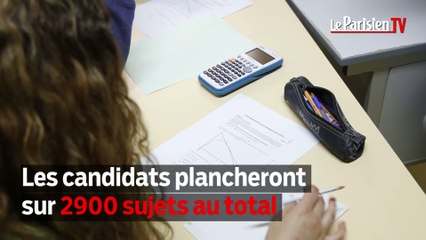 Bac : les chiffres fous de l'édition 2016