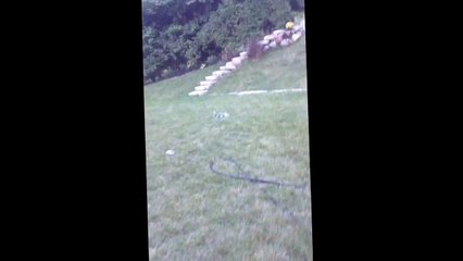 Drain cleaner and tin foil explosion