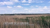 2016-05-06 16.13.00 l'estuaire de la gironde à Mortagne sur Gironde