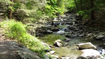 Bash Bish Falls - the highest waterfall in Massachusetts