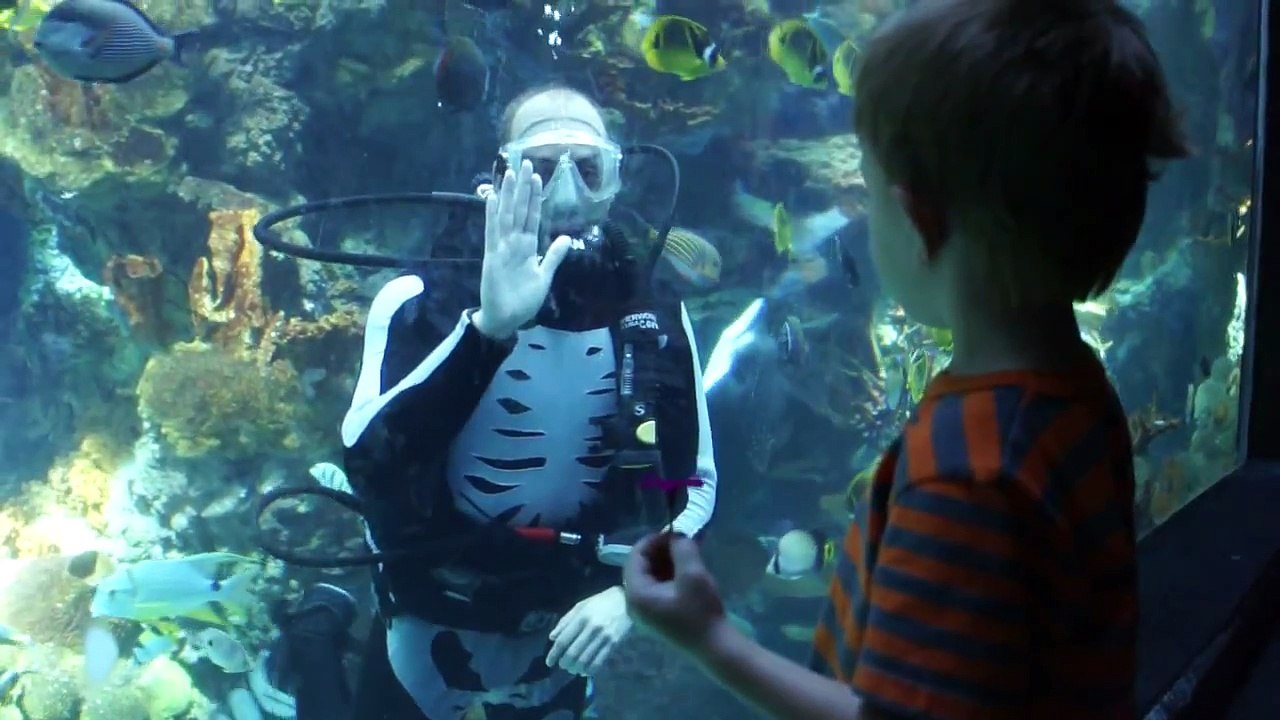 kid and a diver
