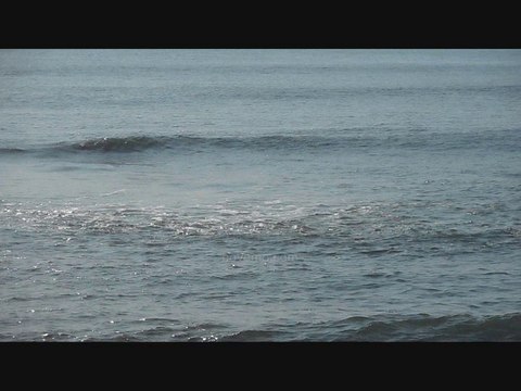 Vacances été Juillet Août : Station touristique bord de mer et plage de sable ? Des paysages idylliques ?