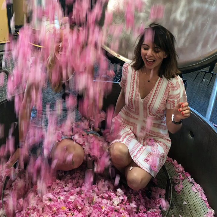 Dans les champs de Pégomas