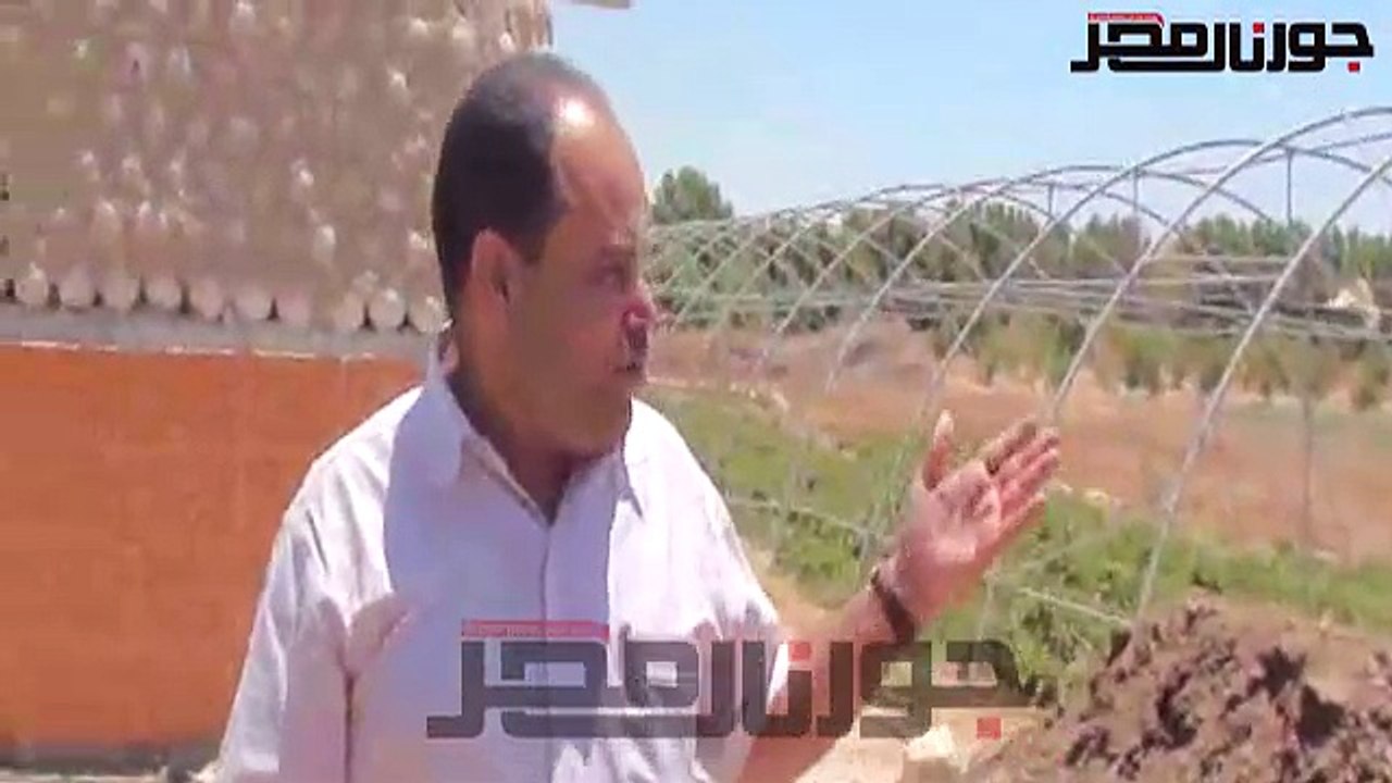 نقيب الفلاحين بجنوب سيناء يناشد المسئولين بتوفير الكهرباء للمزارع