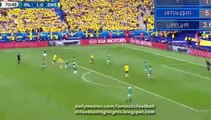 Ciaran Clark Own Goal - Ireland vs Sweden 1-1
