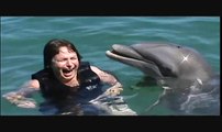 Swimming with the Dolphins at Dolphin Cove in Ocho Rios 2/28/13  edited