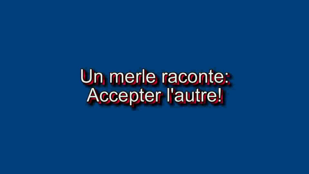 Le merle et le chat: Accepter l'autre!