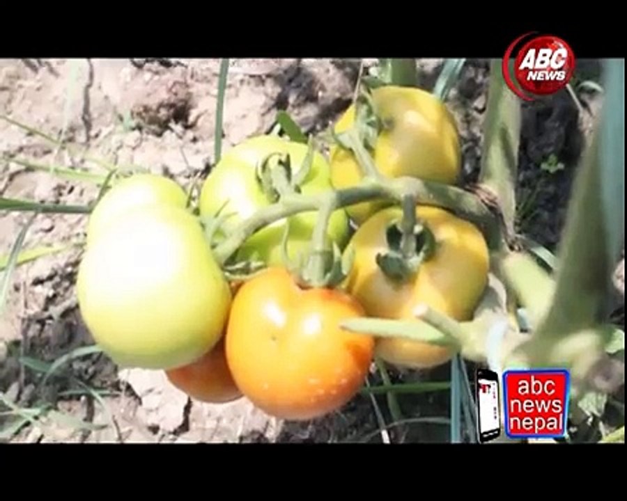 kishan ko Pida Report By Ganesh Khania , ABC NEWS, NEPAL