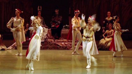 17 Mariinsky Swan Lake 2013 Act2 Mazurka