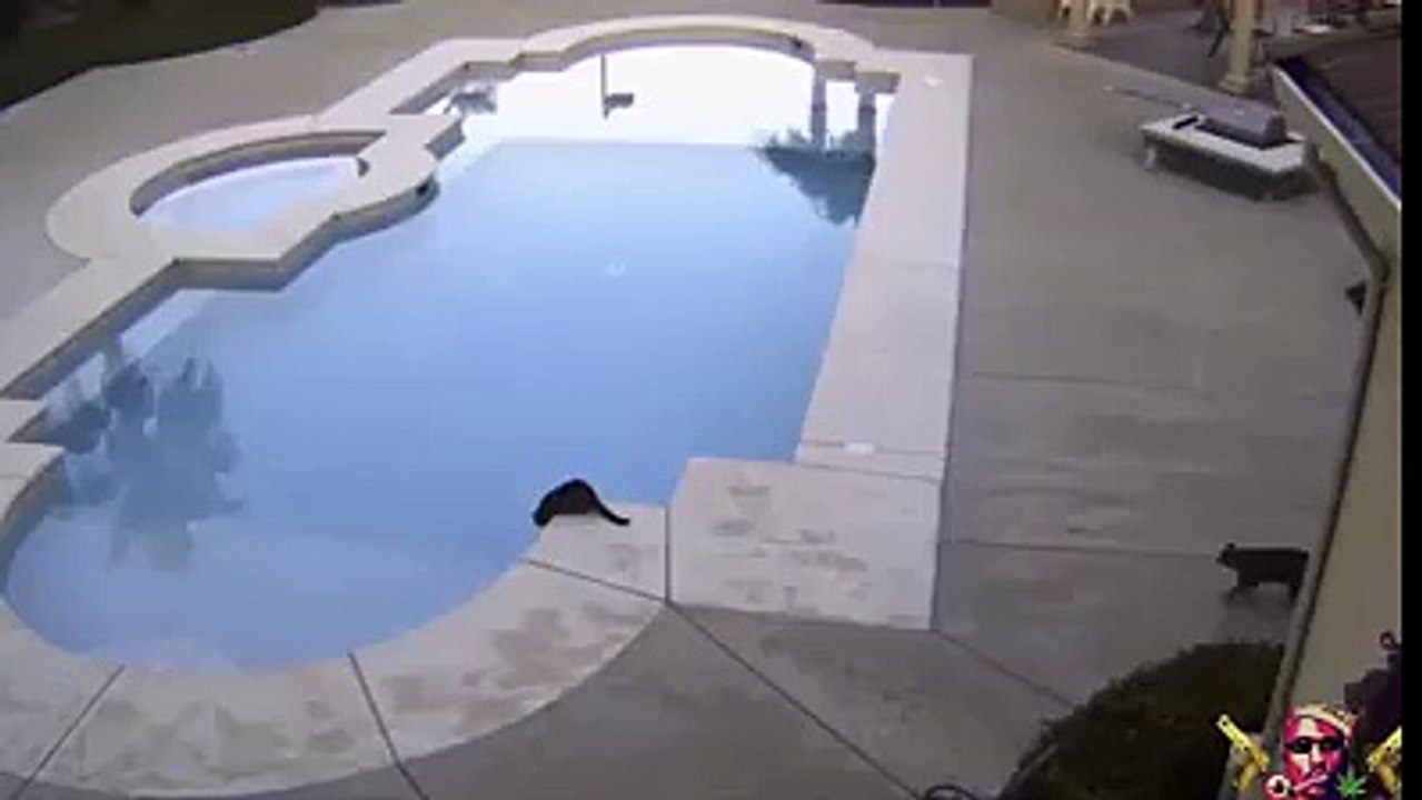 toda a gente tem um amigo assim