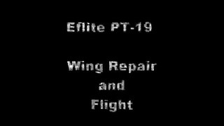 PT-19 Wing Repair