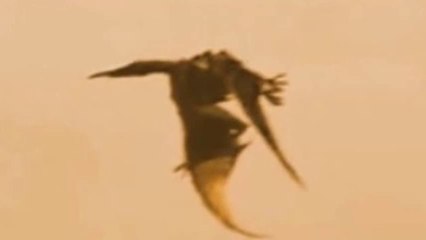 Dinosaur caught on video monsters actually existed caught on video 2016