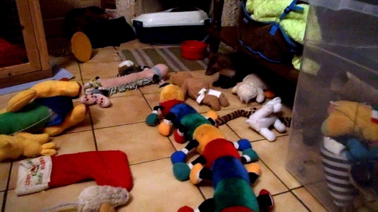 Khan-lé de Bordeaux ^^