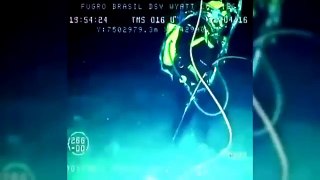 Diver is speared by a swordfish trashing gas tank in Brazil sea