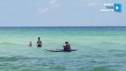Paddleboarder Rescues Distressed Pelican