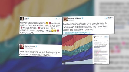 Celebrities React to the Orlando Nightclub Massacre