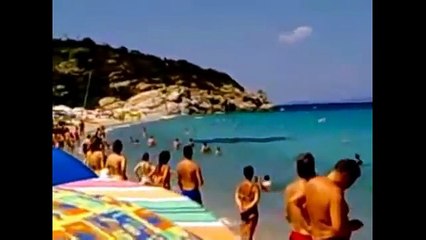 Unbelievable Creatures on EARTH - WATCH NOW