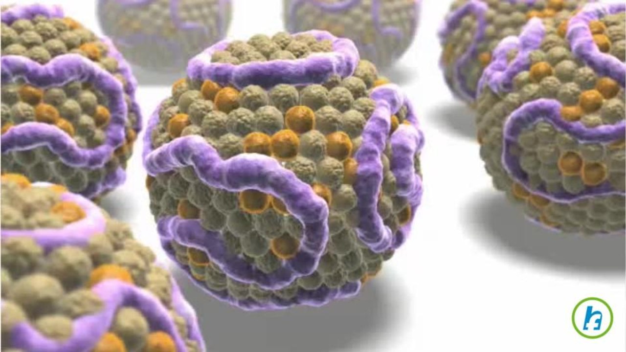 What is Plasma Protein (Low-Density Lipoprotein (LDL))?