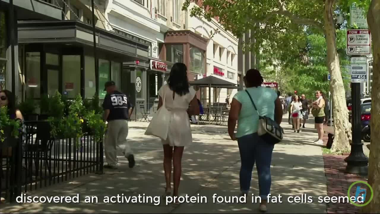 Diabetes Research Uncovers Gene inked to Obesity And Lessen Diabetes Symptoms (Lean Gene)