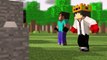 Minecraft Animação  NOOB VS PRO ‹ Minecraft Animation ›