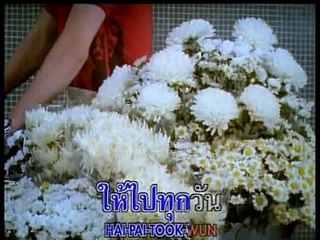 Bua Chompoo - Love message