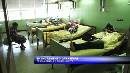 En incremento las cifras de Zika, Dengue y Chikungunya