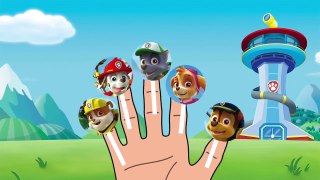 LOLLIPOP FINGER FAMILY PAW PATROL - CAKE POP PAW PATROL NURSERY RHYMES SONG