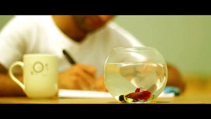 Şamil Sural - Mın Neheyle - Kürtçe