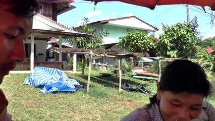 ★ Hunting ★ Yos Hav Zoov ★ Nrhiav Noj Raws Dej Hauv Plawv Zoov ★ (Full 1)