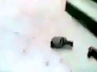 Discover 'Pigeon Is Listening' in Arabic: A Fascinating Cultural Insight 🕊️