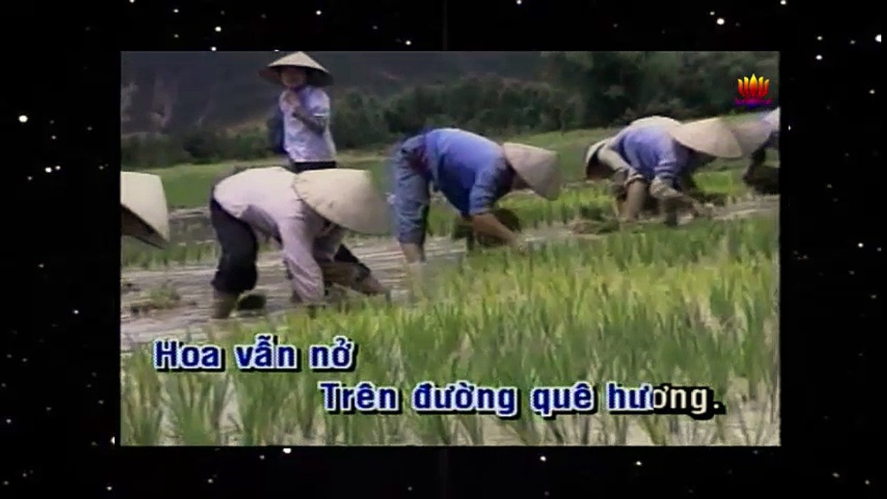 Karaoke Hoa Vẫn Nở Trên Đường Quê Hương - Phương Lam
