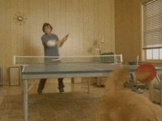 Pingpong