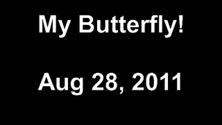My Butterfly!  Aug 28, 2011