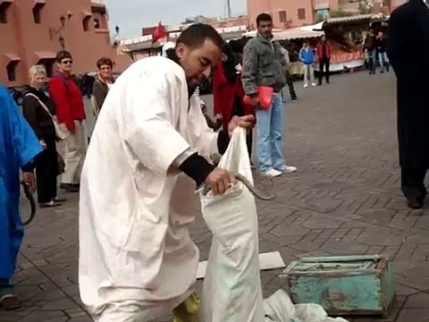 Marrakech Djemaa el-Fna