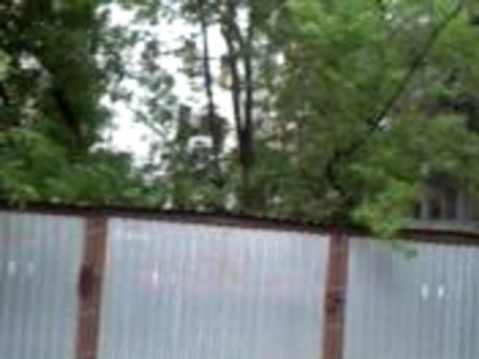 VIDEO_-006
