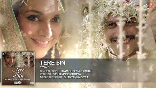 'TERE BIN' Full AUDIO song - Wazir - Farhan Akhtar, Aditi Rao Hydari - Sonu Nigam, Shreya Ghoshal