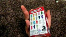 Unboxing yo boy Peanuts - From DokiDoki Crate